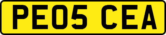 PE05CEA
