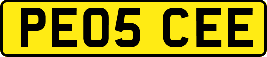 PE05CEE