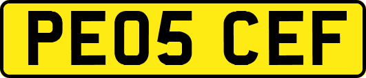 PE05CEF