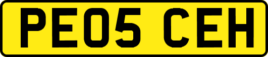 PE05CEH