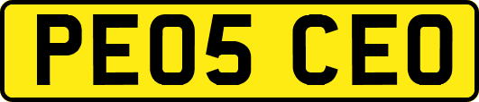 PE05CEO