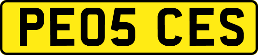 PE05CES