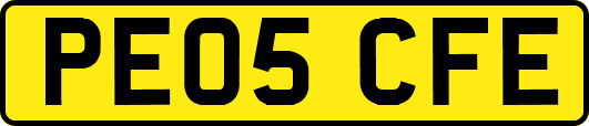 PE05CFE