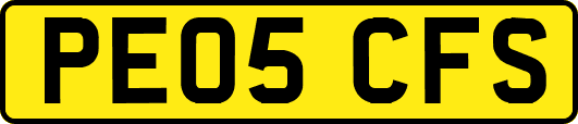 PE05CFS