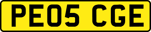 PE05CGE