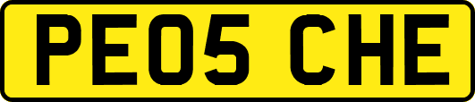 PE05CHE