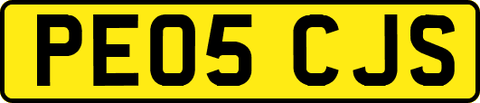 PE05CJS