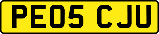 PE05CJU