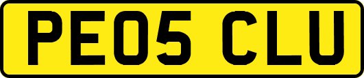 PE05CLU