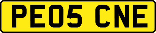 PE05CNE