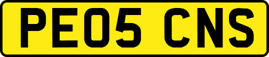 PE05CNS