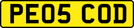 PE05COD