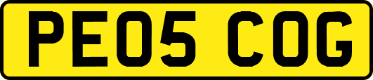 PE05COG