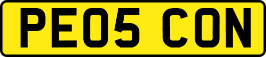 PE05CON
