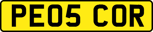 PE05COR