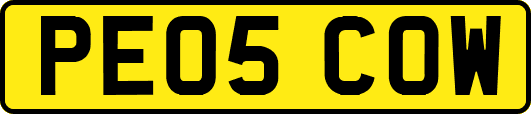 PE05COW