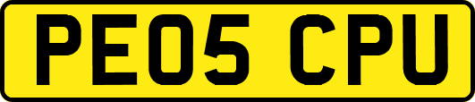 PE05CPU