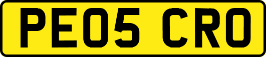 PE05CRO