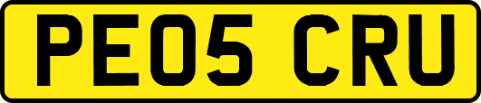 PE05CRU
