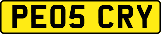 PE05CRY
