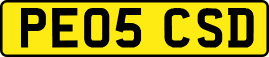 PE05CSD