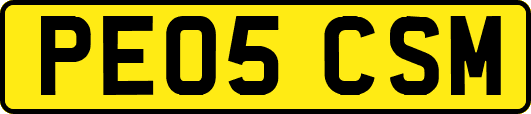 PE05CSM