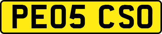 PE05CSO