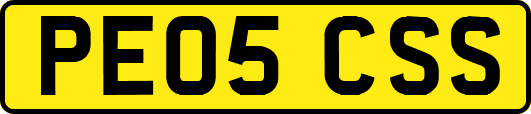 PE05CSS