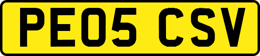 PE05CSV
