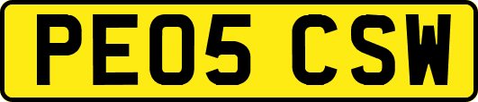 PE05CSW