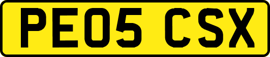 PE05CSX