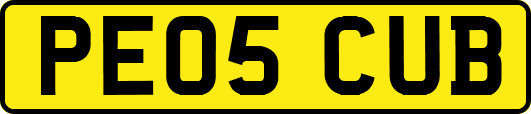 PE05CUB