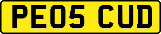 PE05CUD