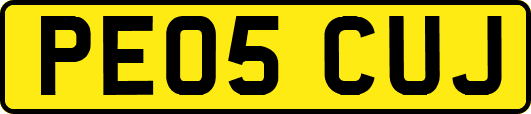 PE05CUJ