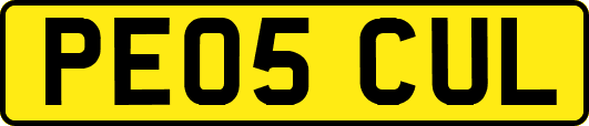 PE05CUL