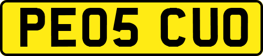 PE05CUO
