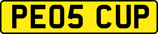 PE05CUP