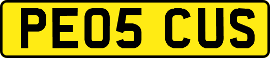 PE05CUS