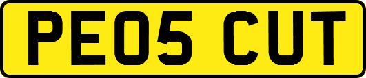 PE05CUT