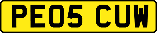 PE05CUW