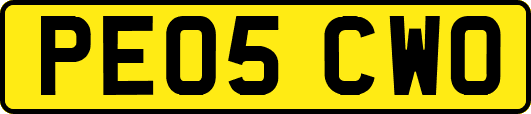 PE05CWO