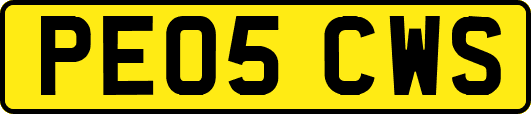 PE05CWS