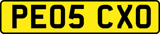 PE05CXO