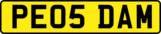 PE05DAM
