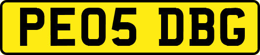 PE05DBG