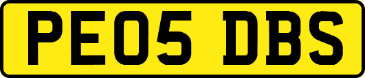 PE05DBS
