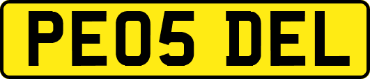 PE05DEL