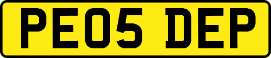 PE05DEP