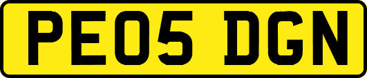 PE05DGN