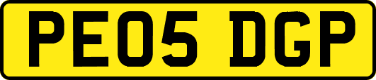 PE05DGP
